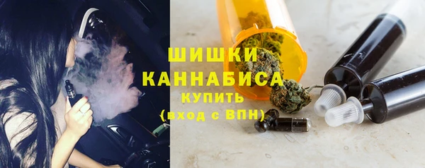 молекула духа Бородино