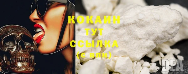 крисы Богородск