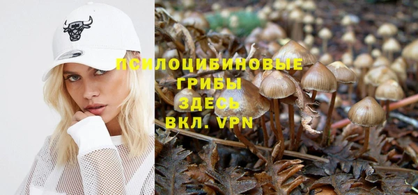 винт Бугульма