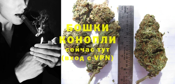 крисы Богородск