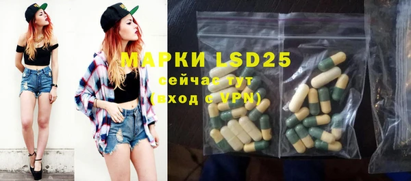молекула духа Бородино