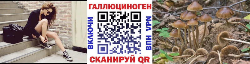 Псилоцибиновые грибы мухоморы  Купить  Нерчинск 